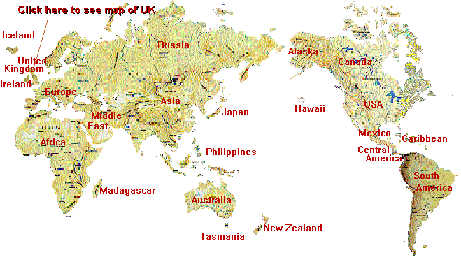 World map